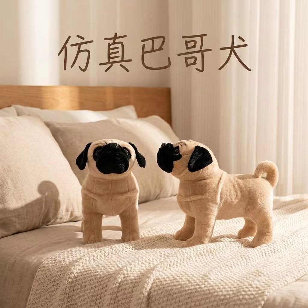 韶关公仔